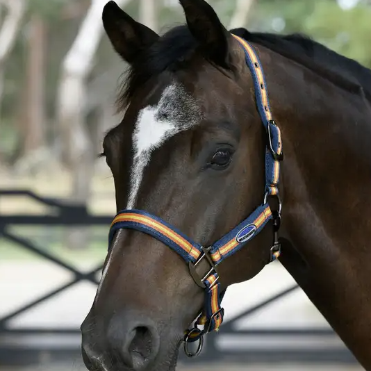 WEATHERBEETA COORDINATE HALTER