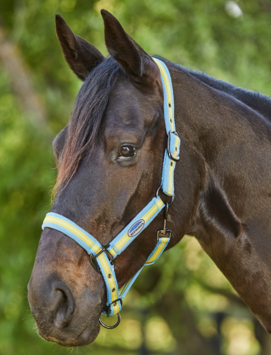 WEATHERBEETA COORDINATE HALTER