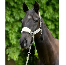 Load image into Gallery viewer, WEATHERBEETA PRIME PLUS HEADCOLLAR AND LEAD SET
