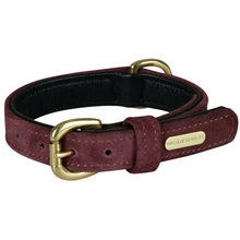 Load image into Gallery viewer, Weatherbeeta Suede Dog Collar
