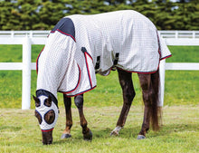 Load image into Gallery viewer, Weatherbeeta Summer Sheet Lite Hooded Combo
