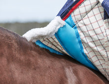 Load image into Gallery viewer, Weatherbeeta Summer Sheet Lite Hooded Combo
