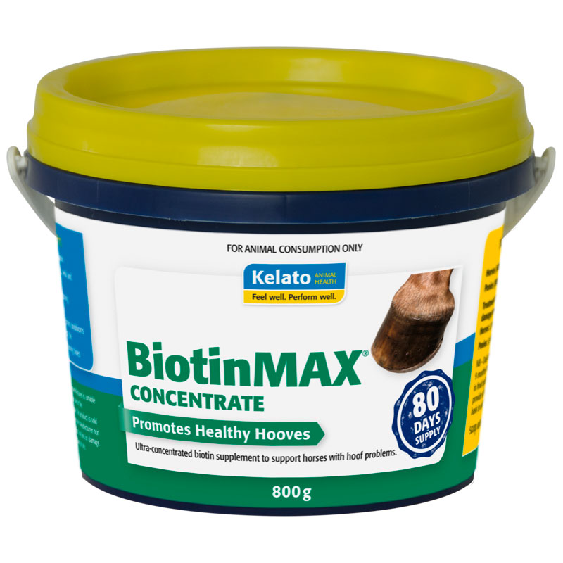 Kelato Biotin Max Concentrate