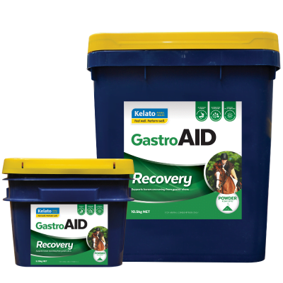 KELATO GASTRO AID RECOVERY