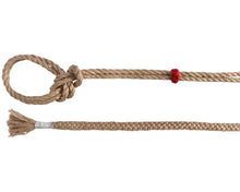Load image into Gallery viewer, Steer Riding Rope
