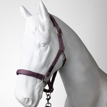 Load image into Gallery viewer, Horze Lucca Headcollar &amp; Lead Rope Set
