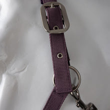 Load image into Gallery viewer, Horze Lucca Headcollar &amp; Lead Rope Set

