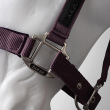 Load image into Gallery viewer, Horze Lucca Headcollar &amp; Lead Rope Set

