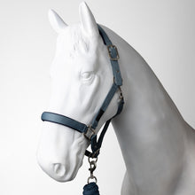 Load image into Gallery viewer, Horze Lucca Headcollar &amp; Lead Rope Set
