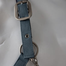 Load image into Gallery viewer, Horze Lucca Headcollar &amp; Lead Rope Set
