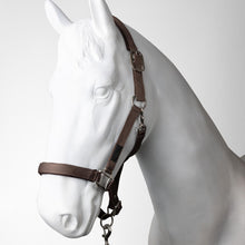 Load image into Gallery viewer, Horze Lucca Headcollar &amp; Lead Rope Set
