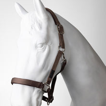 Load image into Gallery viewer, Horze Lucca Headcollar &amp; Lead Rope Set

