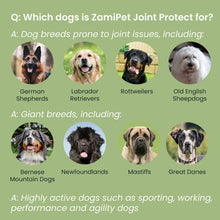 Load image into Gallery viewer, Zamipet Joint Protect Supplement For Dogs
