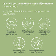 Load image into Gallery viewer, Zamipet Joint Protect Supplement For Dogs
