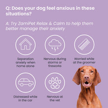 Load image into Gallery viewer, Zamipet Relax &amp; Calm Supplement For Dogs
