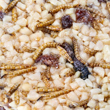 Load image into Gallery viewer, Treat Block - Mealworms, Peanuts &amp; Raisins
