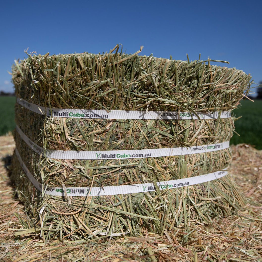 Multicube Hay - Lucerne Compressed Bale