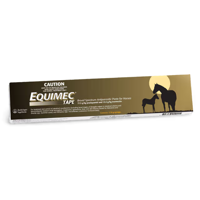 Equimec Plus Paste
