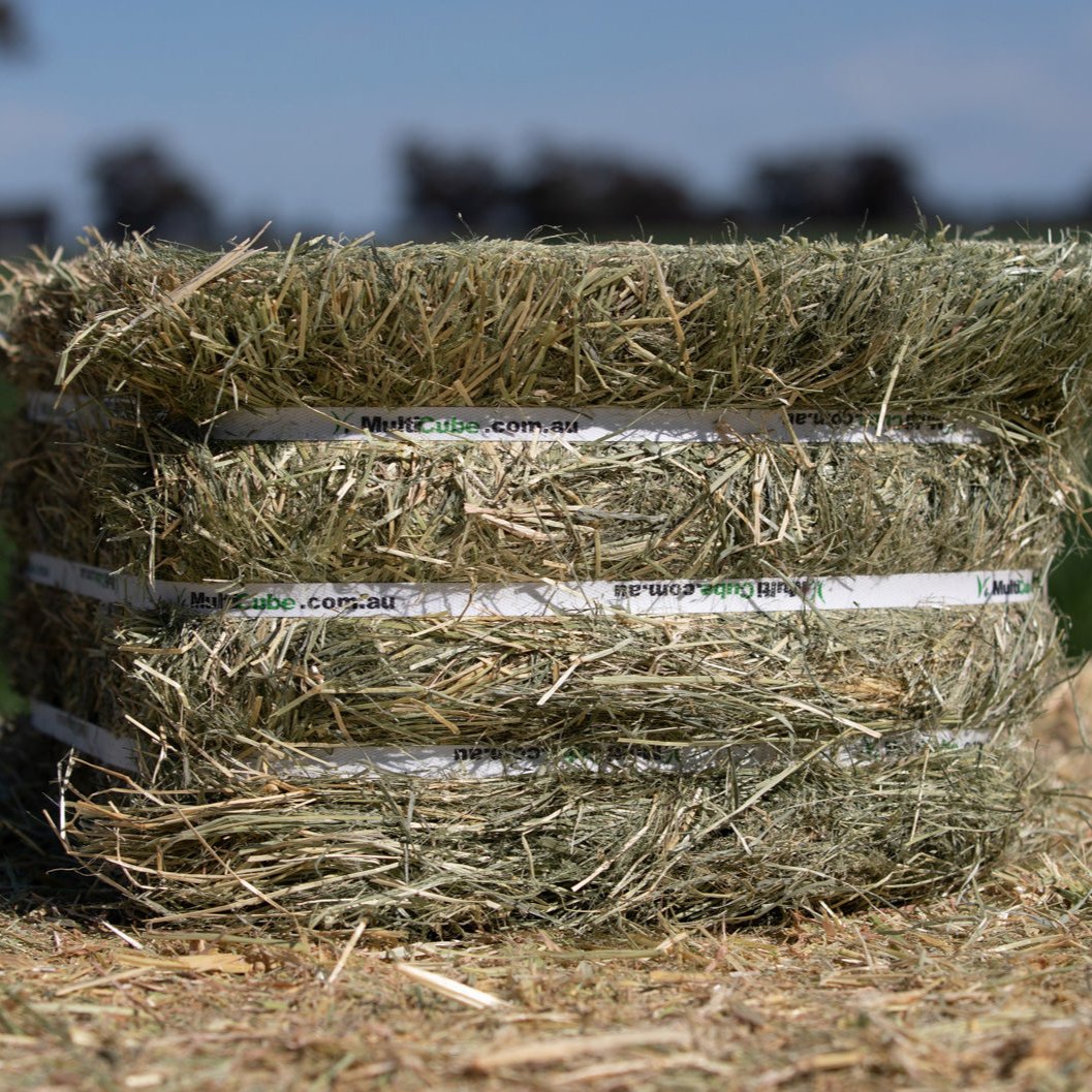 Multicube Hay - Teff Compressed Bale