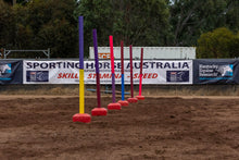 Load image into Gallery viewer, Ferrari Pole - Bending Poles
