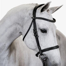 Load image into Gallery viewer, PS OF SWEDEN OCALA BRIDLE
