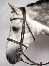 Load image into Gallery viewer, PS OF SWEDEN OCALA BRIDLE
