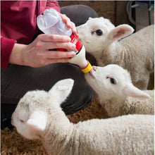 Load image into Gallery viewer, Pritchard Lamb Teat Each
