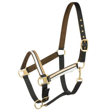 Load image into Gallery viewer, HORZE MONTAUK HALTER
