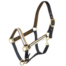 Load image into Gallery viewer, HORZE MONTAUK HALTER
