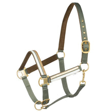 Load image into Gallery viewer, HORZE MONTAUK HALTER
