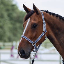 Load image into Gallery viewer, HORZE GLARUS HALTER &amp; LEAD SET
