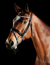 Load image into Gallery viewer, Comfitec Luna Bridle
