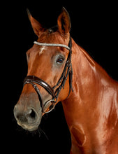 Load image into Gallery viewer, Comfitec Luna Bridle
