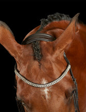 Load image into Gallery viewer, Comfitec Luna Bridle

