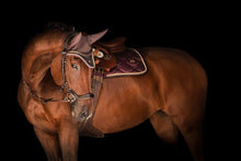 Load image into Gallery viewer, PS OF SWEDEN FLY HAT
