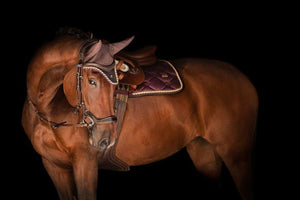 PS OF SWEDEN FLY HAT