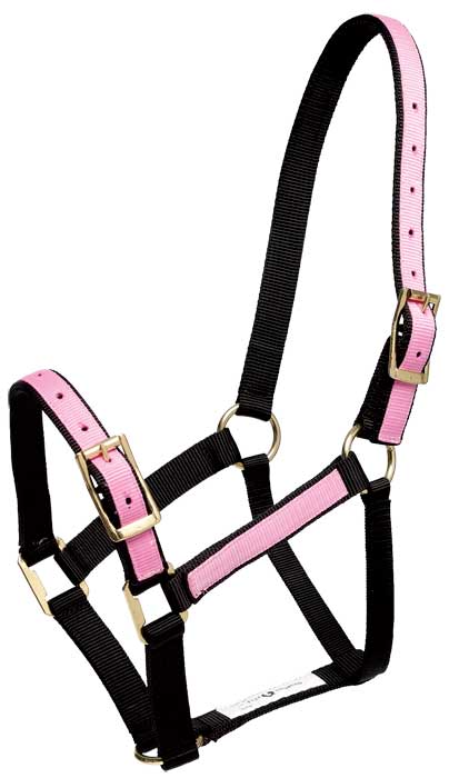 OVERLAY HALTER