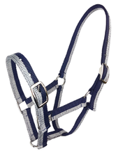 Load image into Gallery viewer, SPARKLE FOAL HALTER
