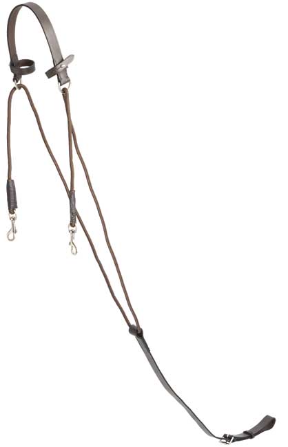 AINTREE CHAMBON MARTINGALE