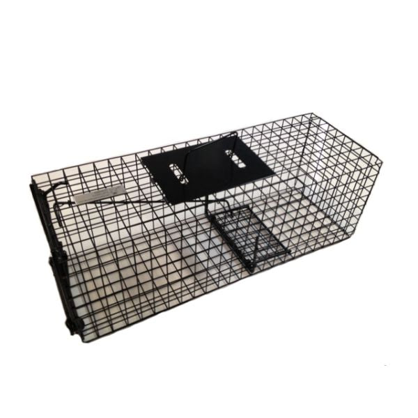 Animal Trap