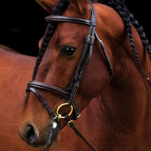 Load image into Gallery viewer, AMIGO DELUXE BRIDLE
