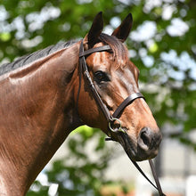 Load image into Gallery viewer, Academy Show Bridle | Quality Equestrian Gear
