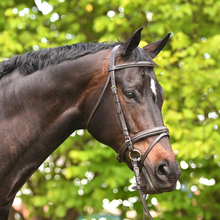 Load image into Gallery viewer, Academy Snaffle Bridle
