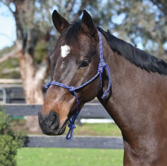 Academy Rope Halter