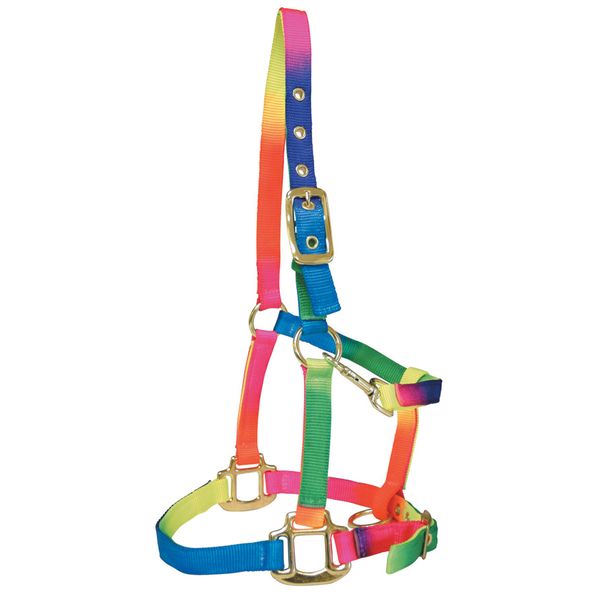 BAMBINO RAINBOW HALTER