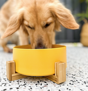 BARKLEY&BELLA SINGLE SUPPORT STAND