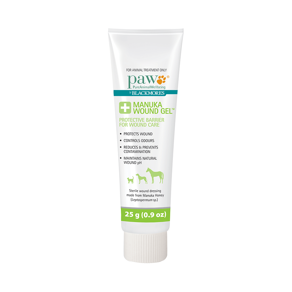 Blackmores Paw Manuka Wound Gel