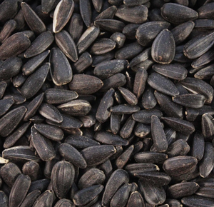 Sunflower Seeds Black