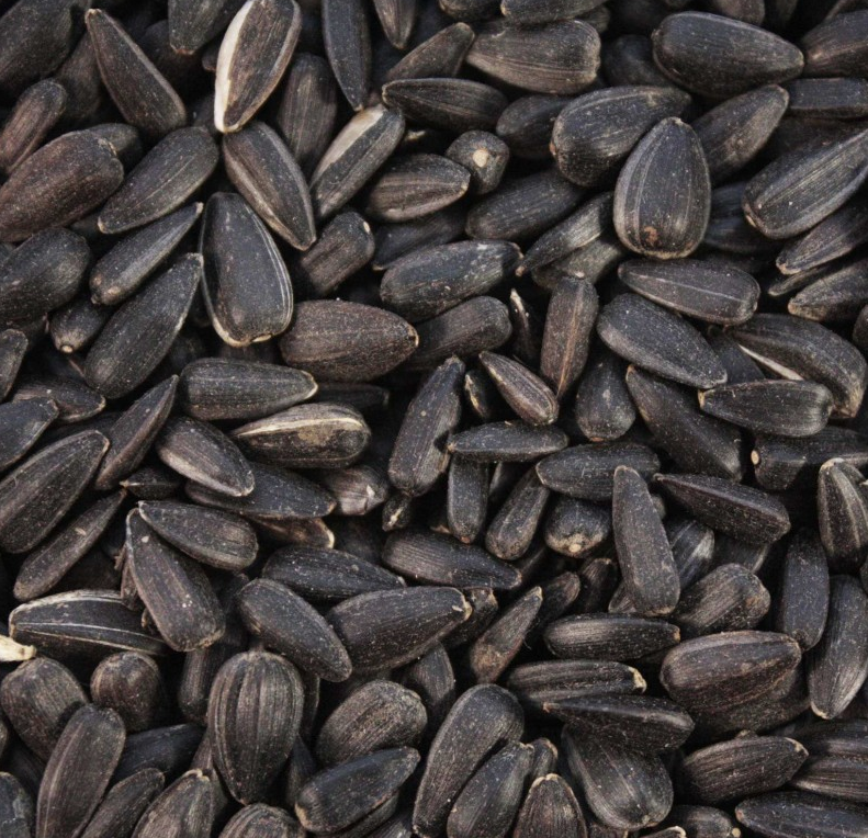Sunflower Seeds Black