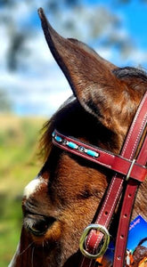 Toprail Bridle With Turquoise Beading